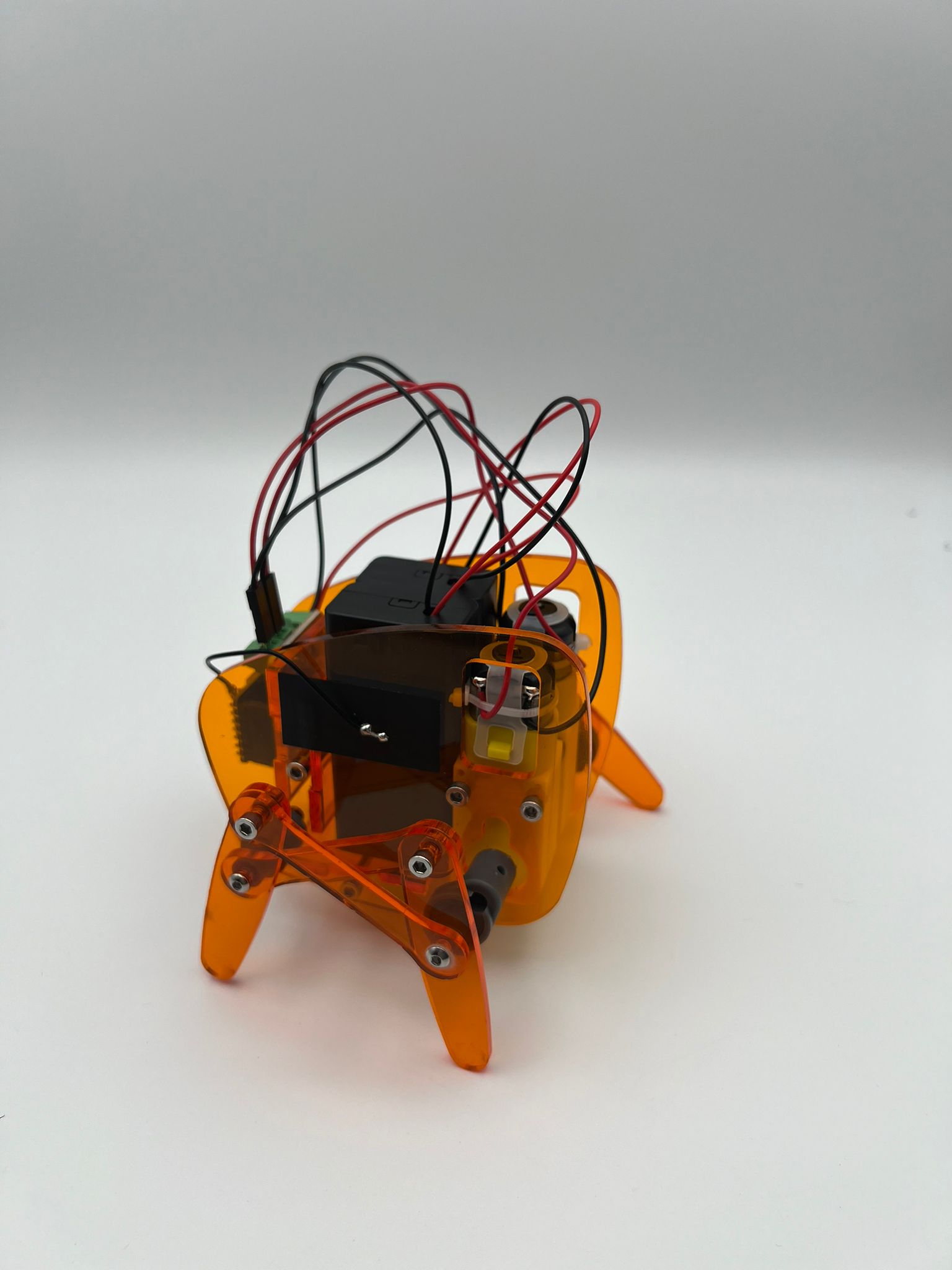 Walking Robot V1